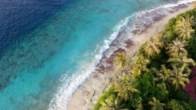 Aerial shot of waves breaking on a coral beach with palm trees