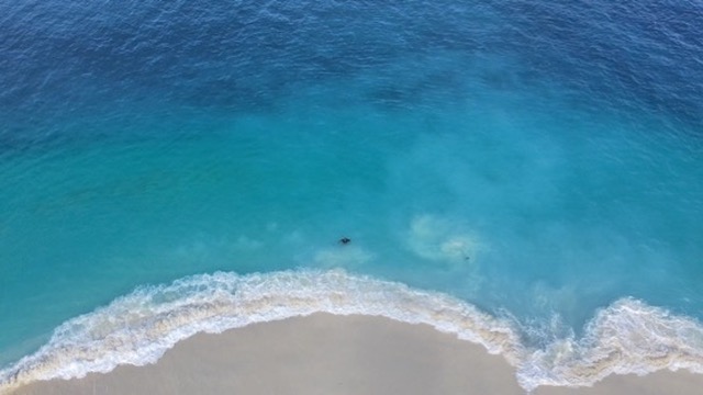 Top-down aerial of waves breaking on a white sand beach